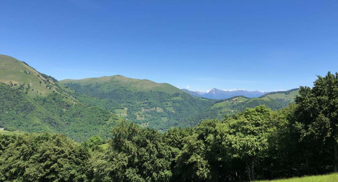 Crisi idriche dovute ai cambiamenti climatici