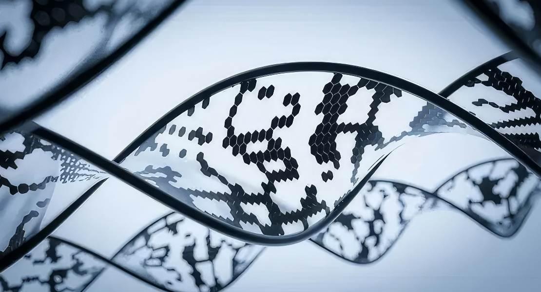 DNA