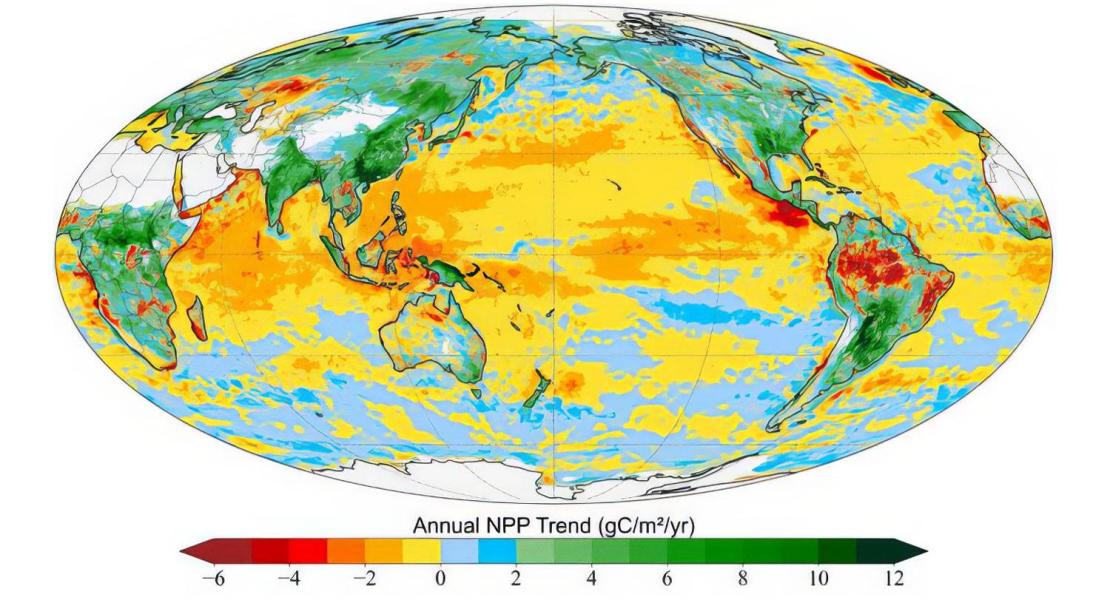 Mappa carbonio