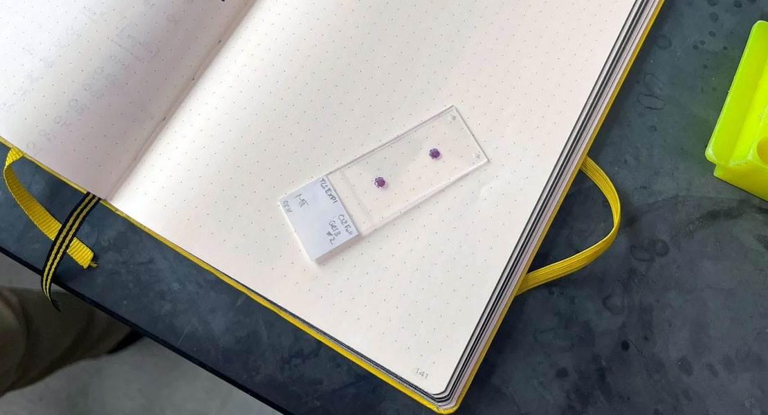 Un campione dal laboratorio