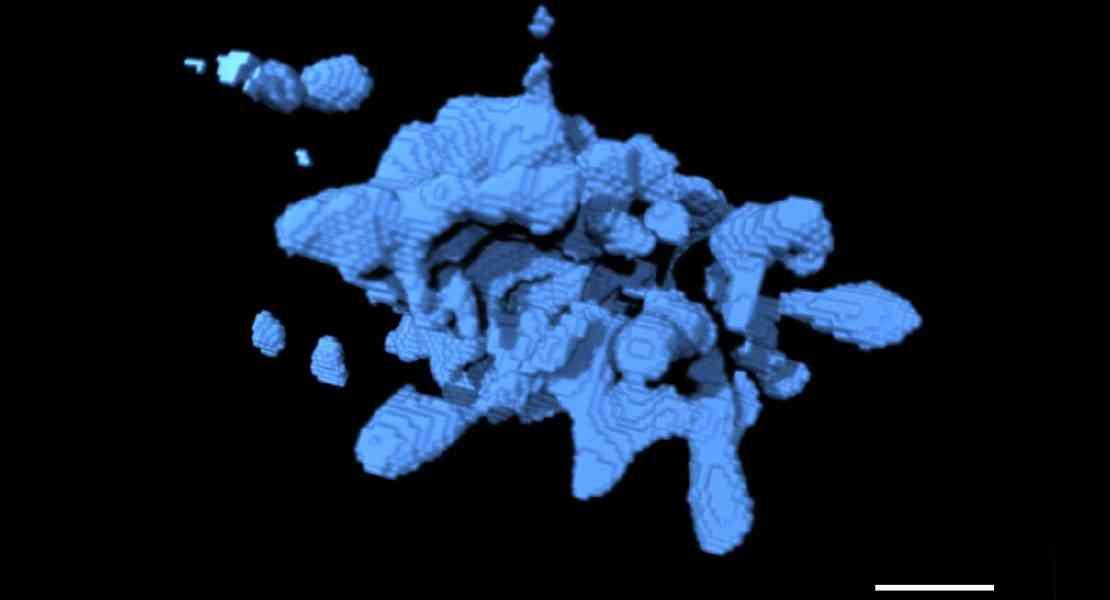 Ricostruzione 3D di un aggregato di nanocristalli osservato in una roccia vulcanica (figura modificata dall'originale pubblicata nell'articolo Bamber et al., 2025). La scala è di 1 micron.
