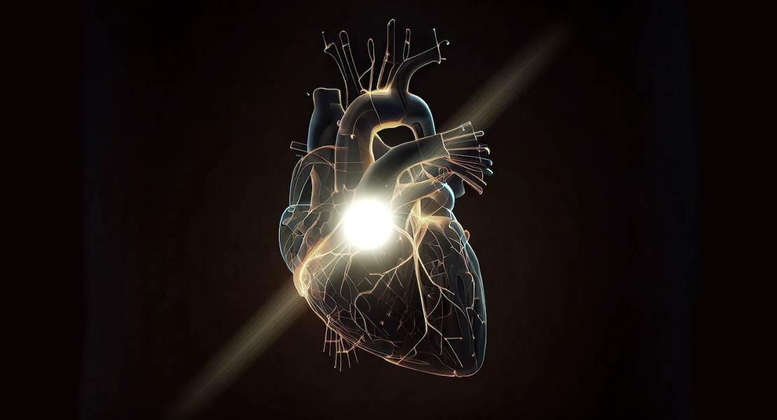 Cuore