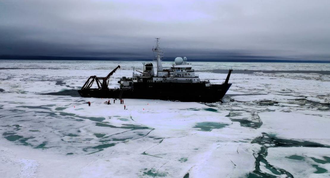Le diatomee furono raccolte durante una spedizione a bordo della nave di ricerca Sikuliaq. Durante questo viaggio, i ricercatori hanno visitato una dozzina di stazioni di ricerca e hanno visto diversi orsi polari.