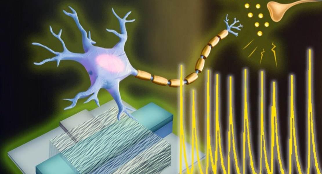 Neuroni artificiali