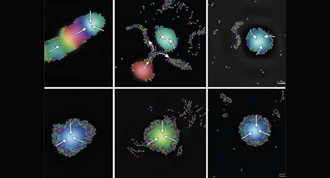 Robot di dimensioni microscopiche