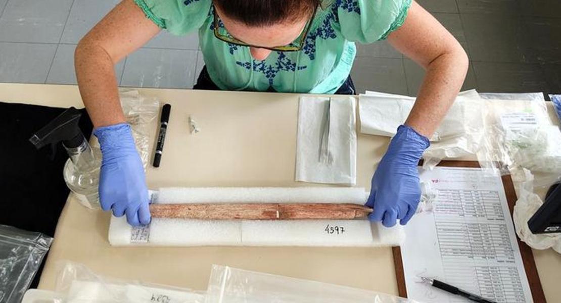 Krista McGrath (primo autore) analizza uno degli arpioni.