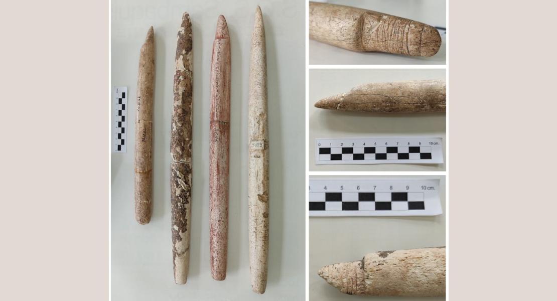 Asta di arpione trovata in una sepoltura umana a Morro do Ouro.