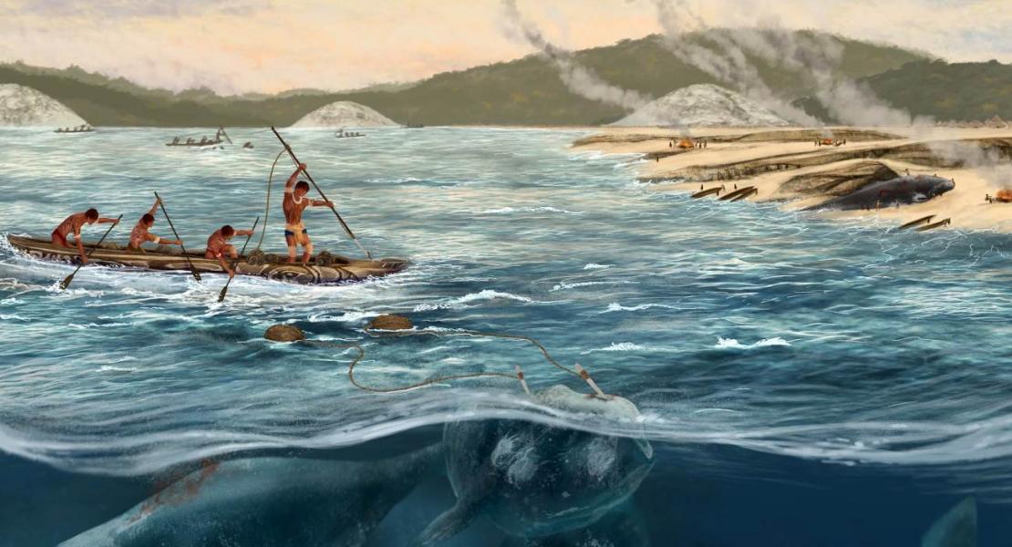 Comunità indigene che cacciavano cetacei 5.000 anni fa.