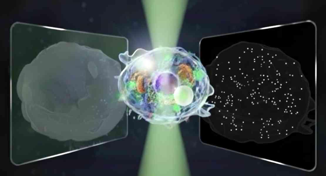 Microscopio a diffusione quantitativa bidirezionale