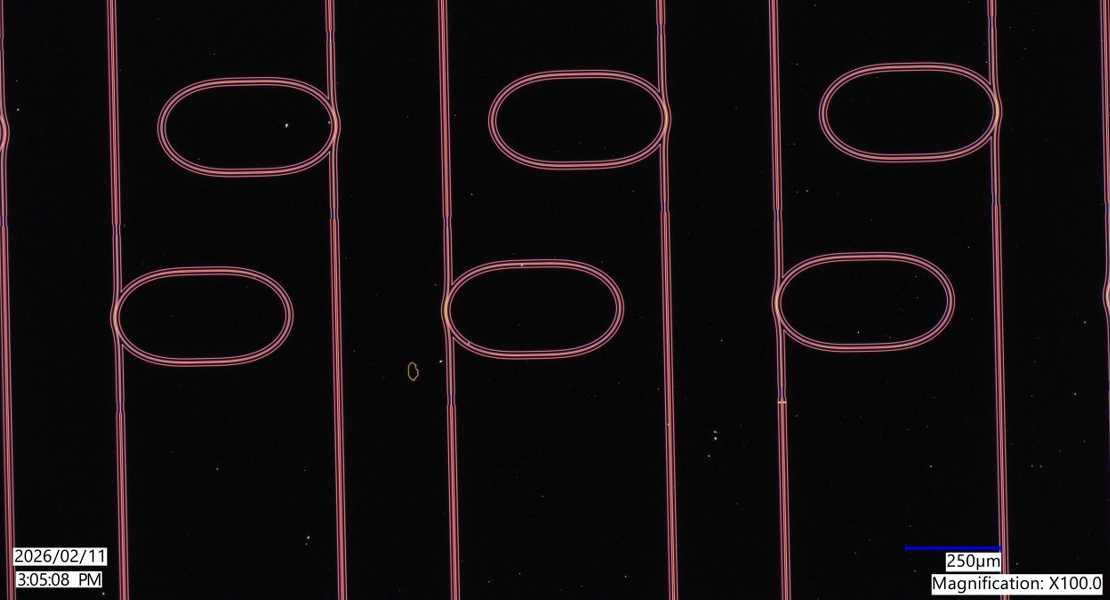 Microrisonatori di guida d'onda ottica su un chip creato in questo sforzo, che sono dieci volte più sottili dei capelli umani.