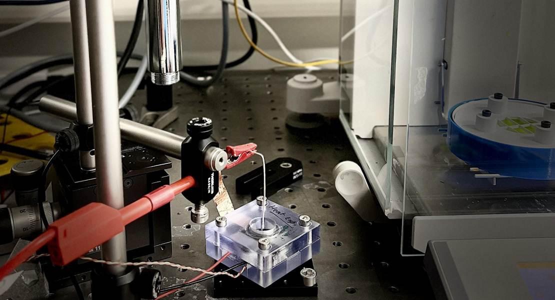 Configurazione sperimentale di LNET