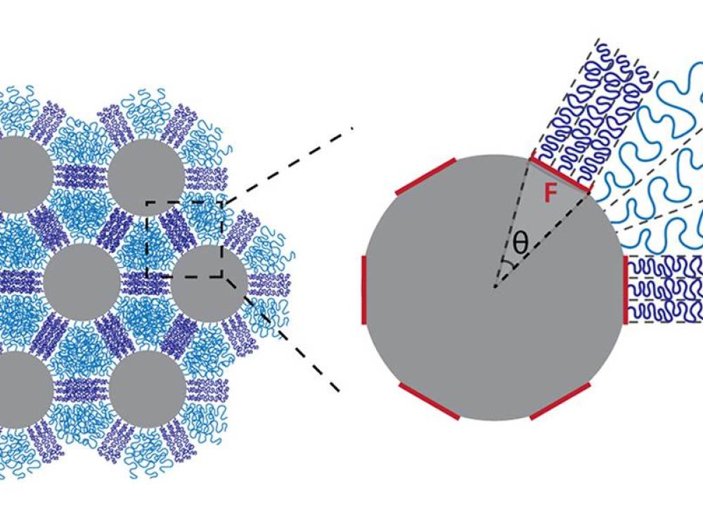 Nanoparticelle di silice apposte con una distribuzione di catene di polistirene (viola) di sé in reticoli esagonali. A seconda di come le catene sono organizzate sulla superficie delle particelle, si aggrovigliano (viola) o si uniscono (blu) quando sono compressi.