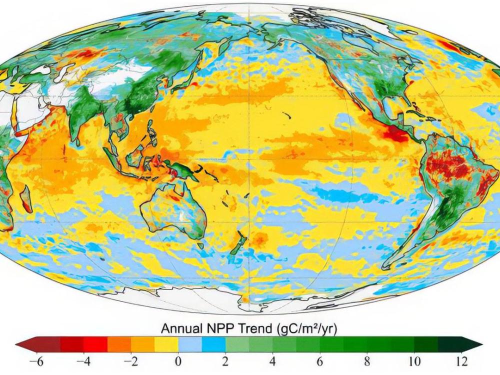 Mappa carbonio