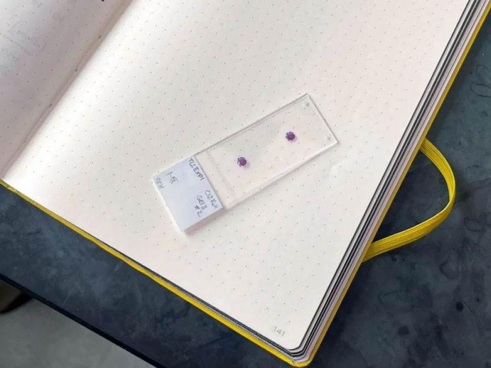 Un campione dal laboratorio