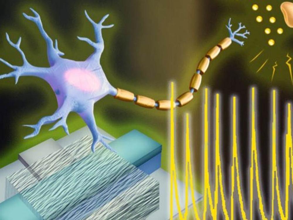 Neuroni artificiali