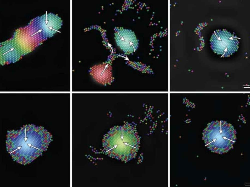 Robot di dimensioni microscopiche