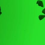 Immagine fluorescente della microscopia mostra i foraggi assorbiti da microplastiche