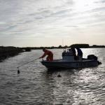 Il team di ricerca ha posizionato dei monitor nel fiume San Joaquin per monitorare le attività dei salmoni giovani e dei loro predatori.