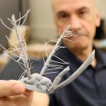 Il Professor Pablo Zavattieri mostra una testa di zanzara stampata in 3D.