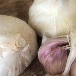 Aglio