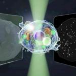 Microscopio a diffusione quantitativa bidirezionale