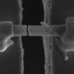 Strutture fragili e microscopiche chiamate dendriti si formano nelle batterie agli ioni di litio e possono comprometterne le prestazioni. A differenza del litio sfuso, che è flessibile ed elastico, i dendriti si fratturano sotto stress.