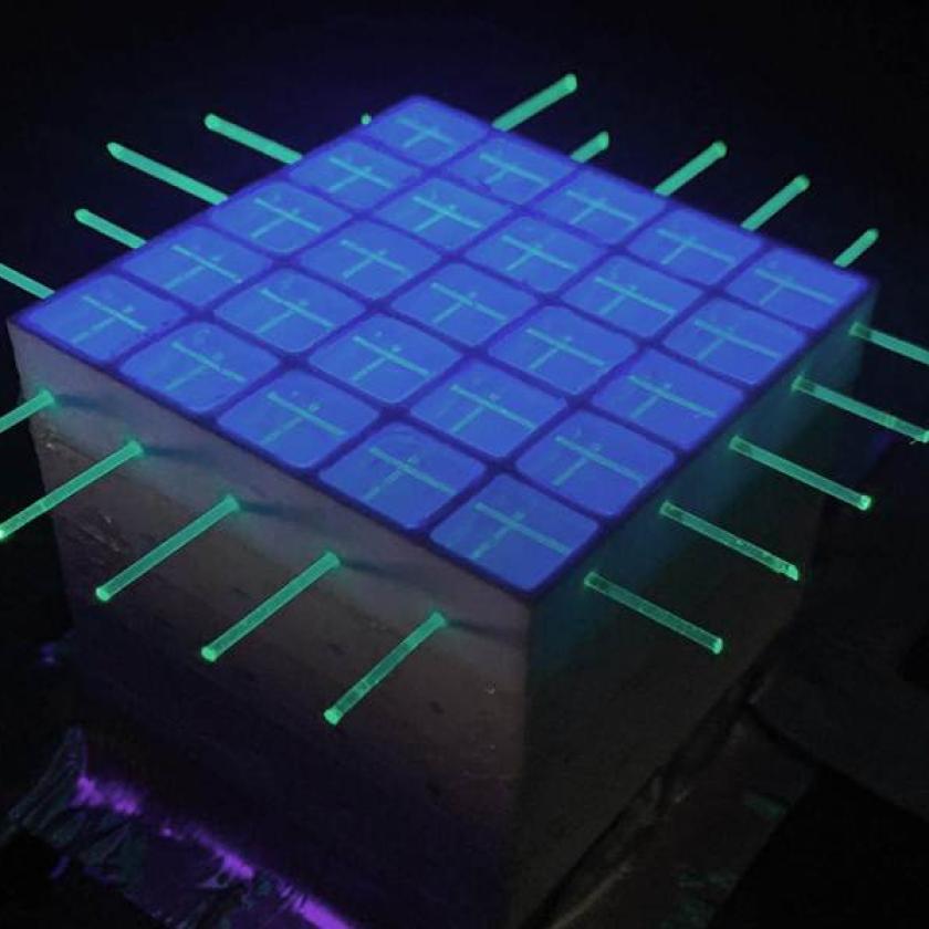 Rilevatori di scintillatori di plastica su larga scala per esperimenti di fisica delle particelle.