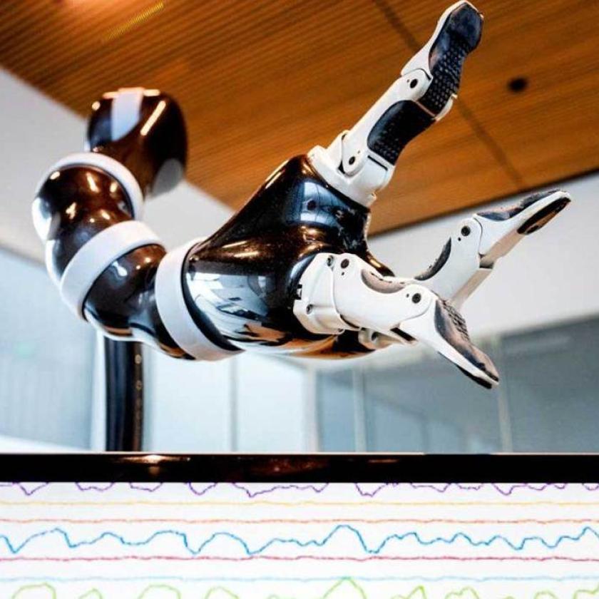 Braccio robotico