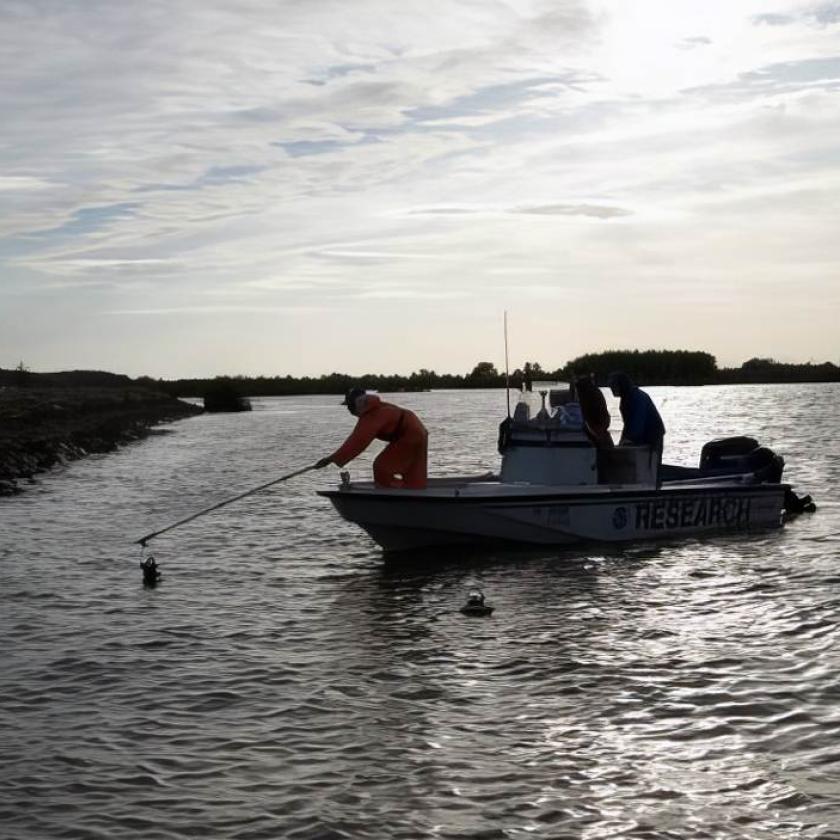 Il team di ricerca ha posizionato dei monitor nel fiume San Joaquin per monitorare le attività dei salmoni giovani e dei loro predatori.