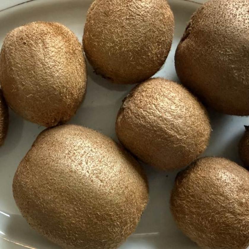 kiwi