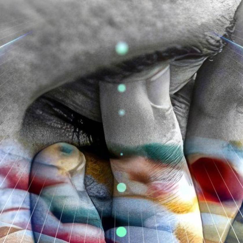 Persona e farmaci