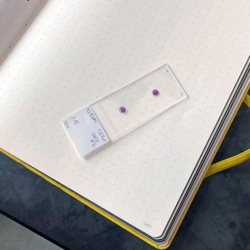 Un campione dal laboratorio
