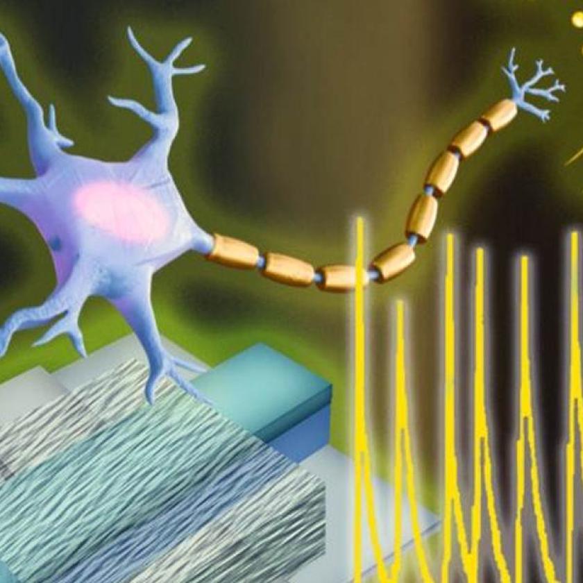 Neuroni artificiali