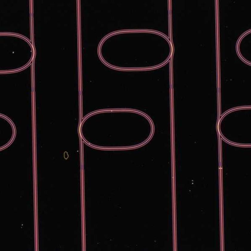 Microrisonatori di guida d'onda ottica su un chip creato in questo sforzo, che sono dieci volte più sottili dei capelli umani.